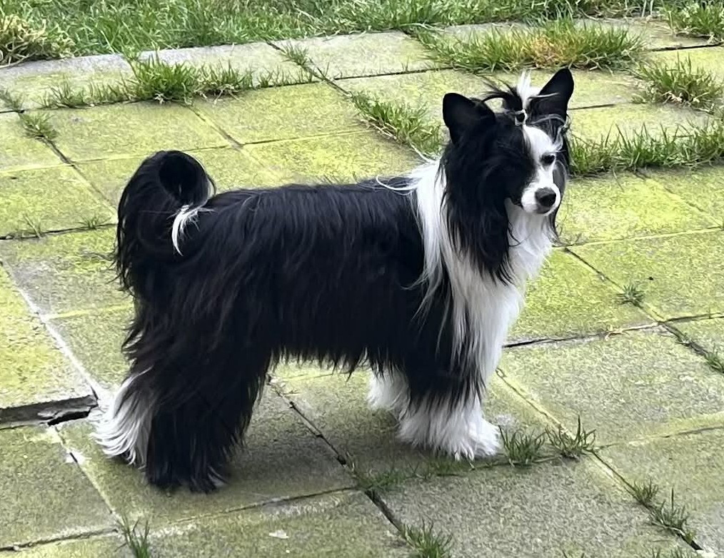 Zero Tolerance Xpect The Unxpected